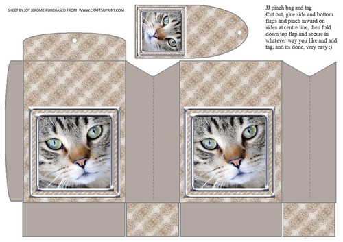 JJ CAT FULL FACE 10 PINCH BAG AND TAG PINCH BAG AND TAG