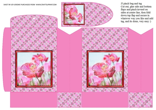 JJ WILD POPPY PINCHBAG AND TAG 1