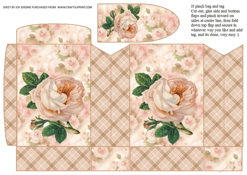JJ PALE PEACH VINTAGE ROSE PINCHBAG AND TAG