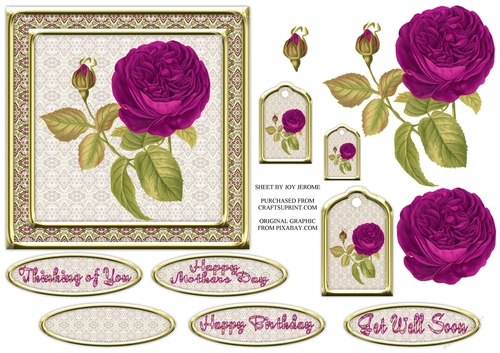 JJ VINTAGE MAGENTA ROSE 6X6