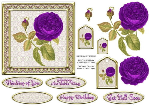  JJ VINTAGE PURPLE ROSE 6X6
