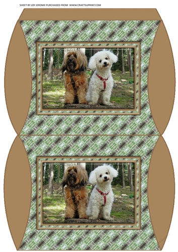 JJ FRIENDS FOREVER DOGS PILLOW BOX