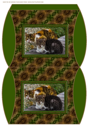  JJ FRIENDS FOREVER CATS PILLOW BOX