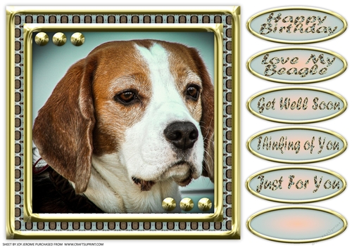  JJ LOVE MY DOG 8X8 BEAGLE