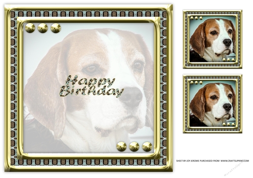 JJ LOVE MY DOG 8X8 BEAGLE INSERT HAPPY BIRTHDAY.