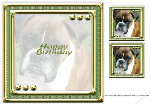 JJ LOVE MY DOG 8X8 BOXER INSERT HAPPY BIRTHDAY