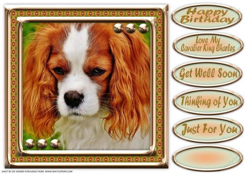 JJ LOVE MY DOG CAVALIER KING CHARLES 8X8