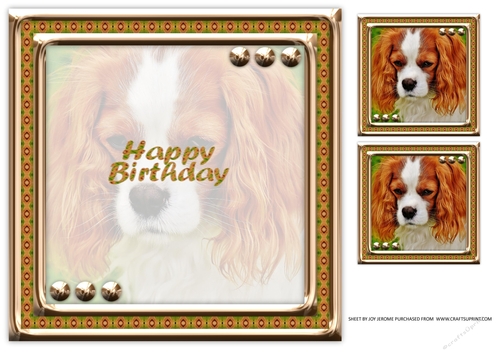 JJ LOVE MY DOG CAVALIER KING CHARLES 8X8 INSERT HAPPY BIRTHDAY