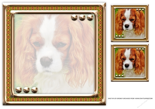 JJ LOVE MY DOG CAVALIER KING CHARLES 8X8 INSERT BLANK