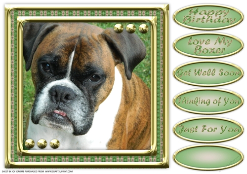 JJ LOVE MY DOG 8X8 BOXER