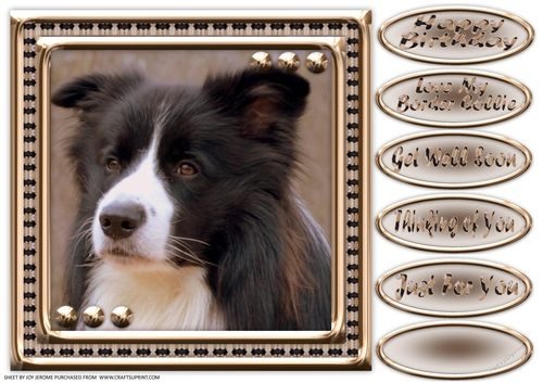 JJ LOVE MY DOG BORDER COLLIE 8X8