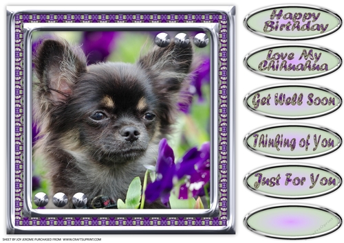 JJ LOVE MY DOG CHIHUAHUA 8X8