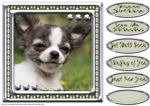 JJ LOVE MY DOG CHIHUAHUA 2 8X8