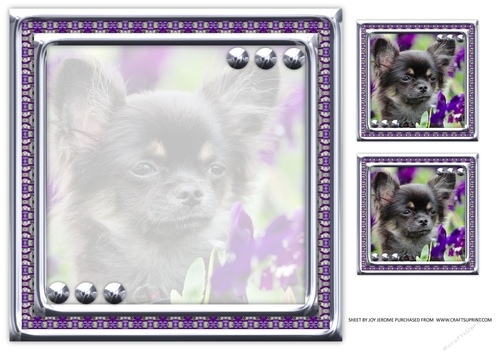 JJ LOVE MY DOG CHIHUAHUA 8X8 INSERT BLANK