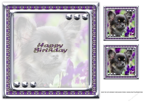  JJ LOVE MY DOG CHIHUAHUA 8X8 INSERT HAPPY BIRTHDAY