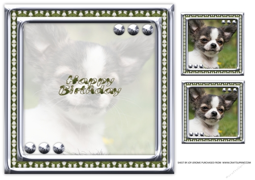 JJ LOVE MY DOG CHIHUAHUA 2 8X8 INSERT HAPPY BIRTHDAY