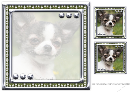 JJ LOVE MY DOG CHIHUAHUA 2 8X8 INSERT BLANK