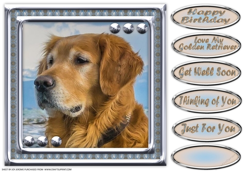  JJ LOVE MY DOG GOLDEN RETRIEVER 8X8