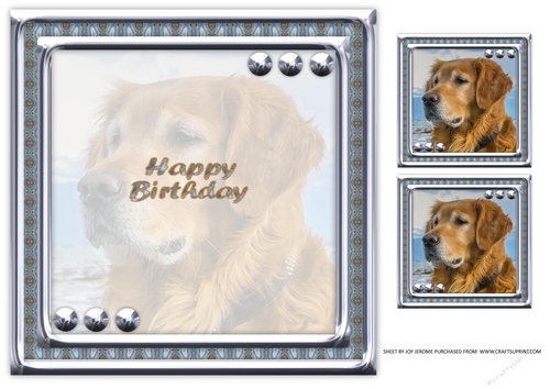  LOVE MY DOG GOLDEN RETRIEVER 8X8 INSERT HAPPY BIRTHDAY