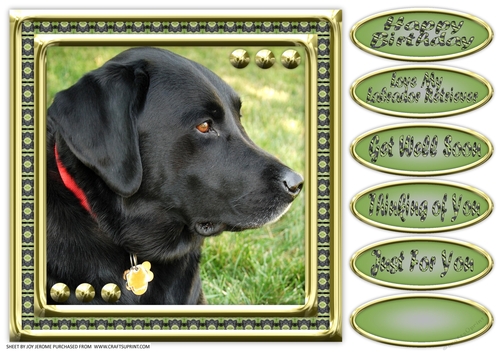 JJ LOVE MY DOG LABRADOR RETRIEVER 8X8 BLACK