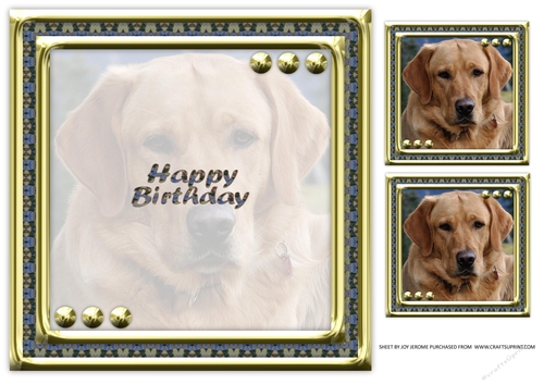 JJ LOVE MY DOG LABRADOR RETRIEVER 8X8 YELLOW INSERT HAPPY BIRTHDAY