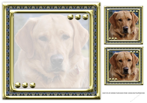 JJ LOVE MY DOG LABRADOR RETRIEVER 8X8 YELLOW INSERT BLANK