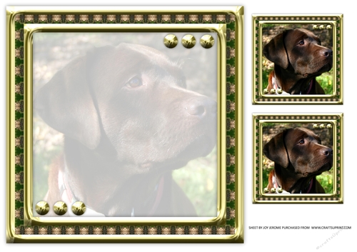 JJ LOVE MY DOG LABRADOR RETRIEVER 8X8 CHOCOLATE INSERT BLANK