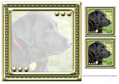 JJ LOVE MY DOG LABRADOR RETRIEVER 8X8 BLACK INSERT BLANK