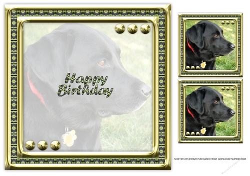 JJ LOVE MY DOG LABRADOR RETRIEVER 8X8 BLACK INSERT HAPPY BIRTHDAY