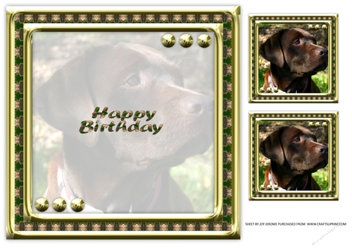 JJ LOVE MY DOG LABRADOR RETRIEVER 8X8 CHOCOLATE INSERT HAPPY BIRTHDAY