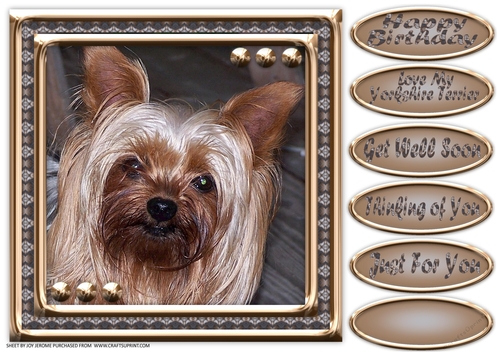 JJ LOVE MY DOG YORKSHIRE TERRIER 8X8