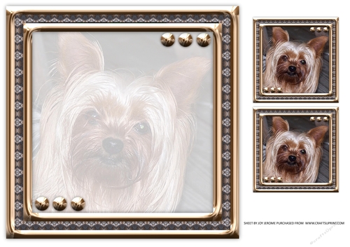 JJ LOVE MY DOG YORKSHIRE TERRIER 8X8 INSERT BLANK