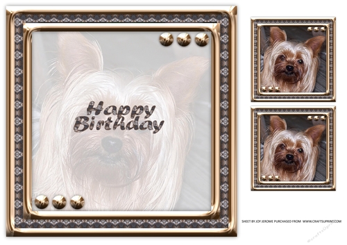  JJ LOVE MY DOG YORKSHIRE TERRIER 8X8 INSERT HAPPY BIRTHDAY
