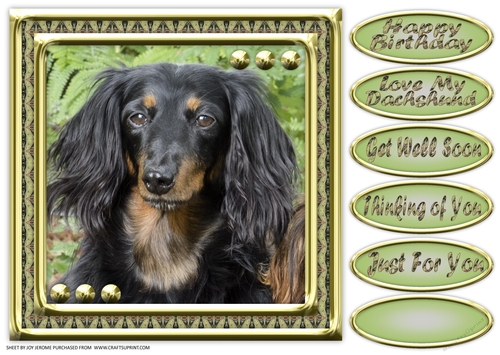 JJ LOVE MY DOG DACHSHUND 8X8