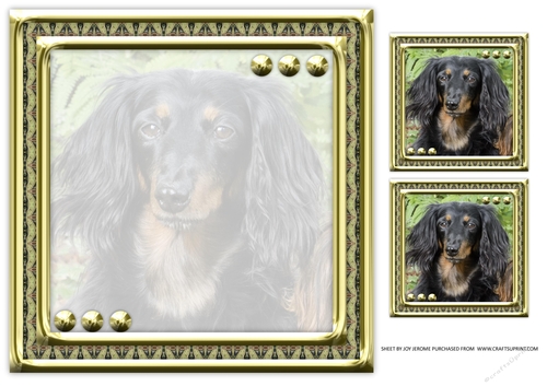 JJ LOVE MY DOG DACHSHUND 8X8 INSERT BLANK