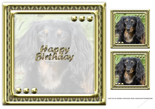  JJ LOVE MY DOG DACHSHUND 8X8 INSERT HAPPY BIRTHDAY