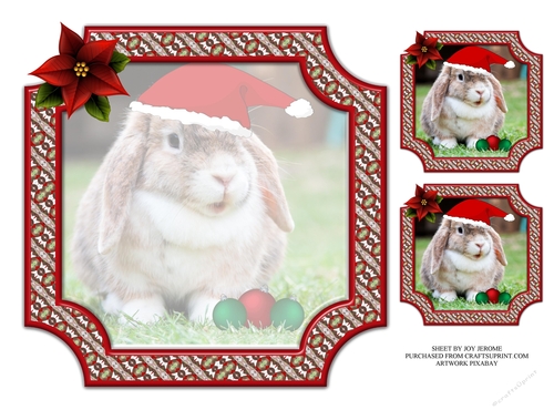 JJ PETS LOVE CHRISTMAS TOO 8X8 LOP EARED RABBIT INSERT BLANK