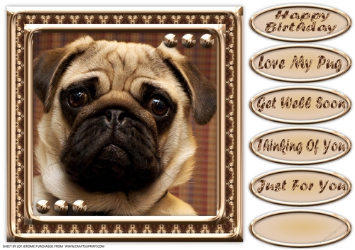 JJ LOVE MY DOG 8X8 PUG