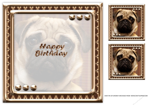 JJ LOVE MY DOG 8X8 PUG INSERT HAPPY BIRTHDAY