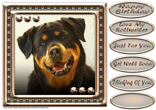 JJ LOVE MY DOG ROTTWEILER 8x8