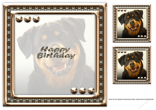  JJ LOVE MY DOG ROTTWEILER 8x8 INSERT HAPPY BIRTHDAY