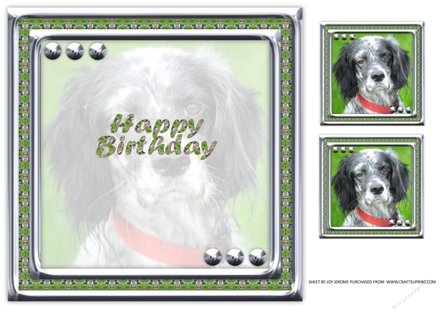 JJ LOVE MY DOG ENGLISH SETTER 8X8 INSERT HAPPY BIRTHDAY.