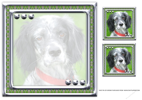 JJ LOVE MY DOG ENGLISH SETTER 8X8 INSERT BLANK