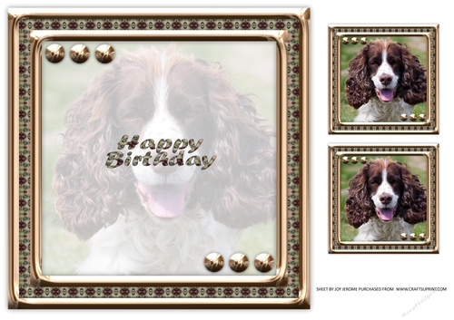 JJ LOVE MY DOG SPRINGER SPANIEL 8X8 INSERT HAPPY BIRTHDAY