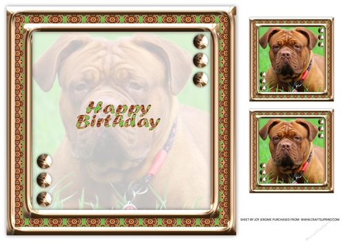 JJ LOVE MY DOG DOGUE DE BORDEAUX FRENCH MASTIFF 8X8 INSERT HAPPY BIRTHDAY