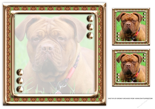 JJ LOVE MY DOG DOGUE DE BORDEAUX FRENCH MASTIFF 8X8 INSERT BLANK