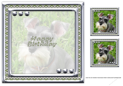  JJ LOVE MY DOG MINIATURE SCHNAUZER 8X8 INSERT HAPPY BIRTHDAY