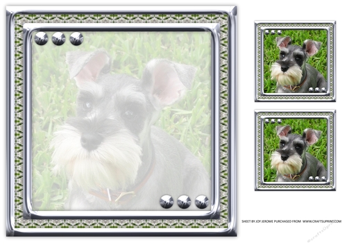 JJ LOVE MY DOG MINIATURE SCHNAUZER 8X8 INSERT BLANK