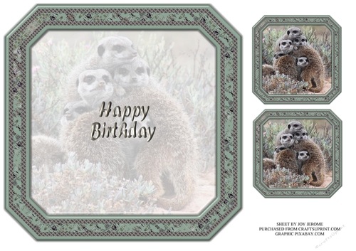  JJ GROUP HUG MEERKATS 8X8 INSERT HAPPY BIRTHDAY