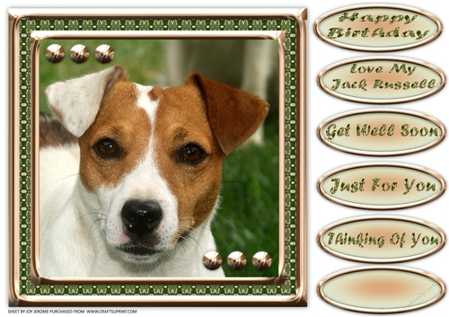 JJ LOVE MY DOG JACK RUSSELL 8X8